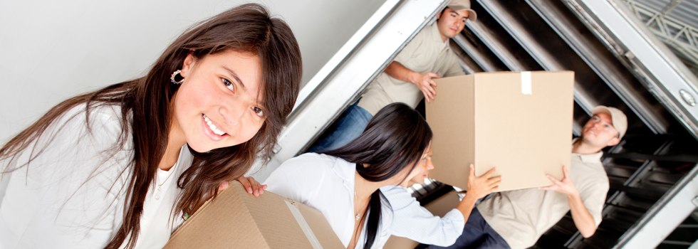 Professional Removalists Hickety